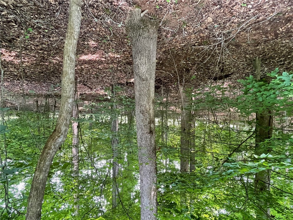 Lot 784 S Hogan Drive, Westminster, South Carolina image 3