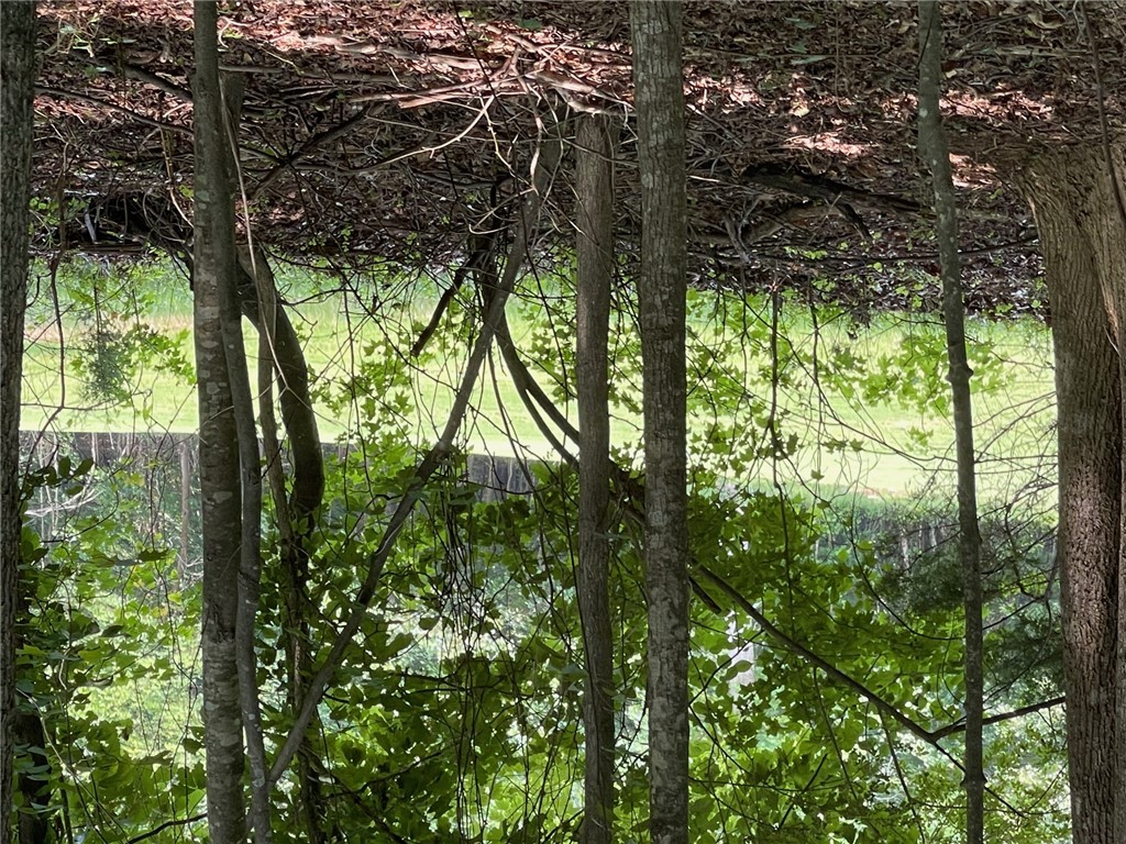 Lot 784 S Hogan Drive, Westminster, South Carolina image 9