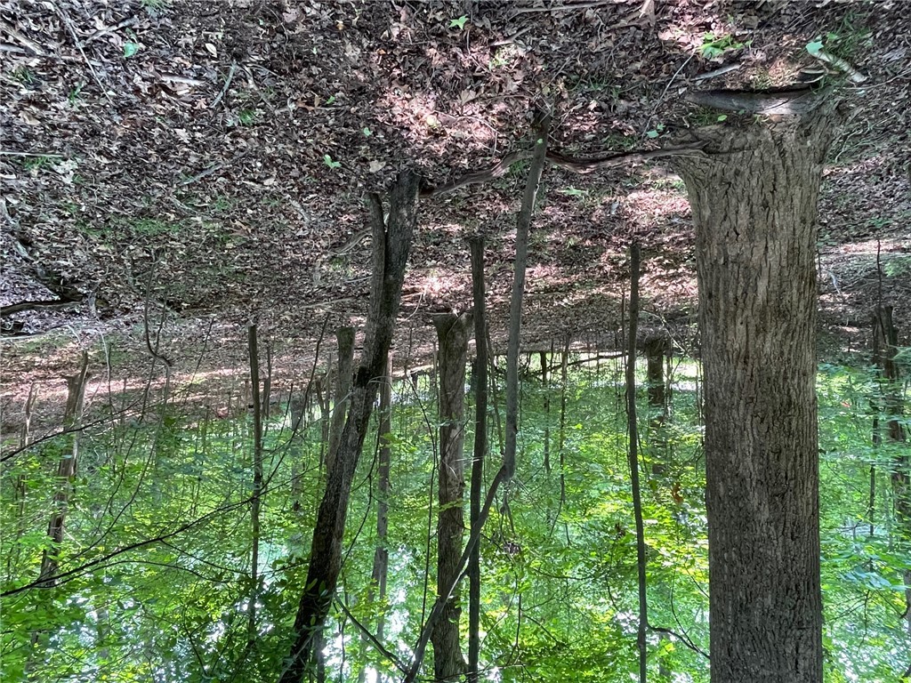 Lot 784 S Hogan Drive, Westminster, South Carolina image 11
