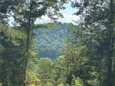 Vacant Land For Sale - 219 Long Cove Court<br/> Sunset, SC 29685