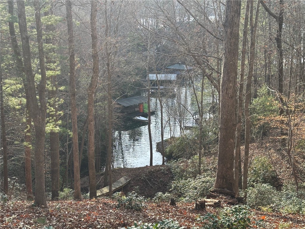 200 Wind Flower Drive, Sunset, South Carolina image 1