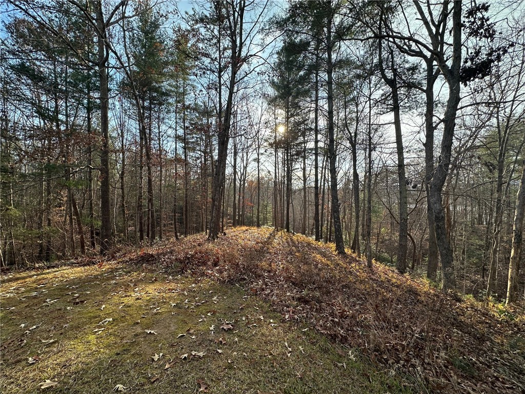 200 Wind Flower Drive, Sunset, South Carolina image 3