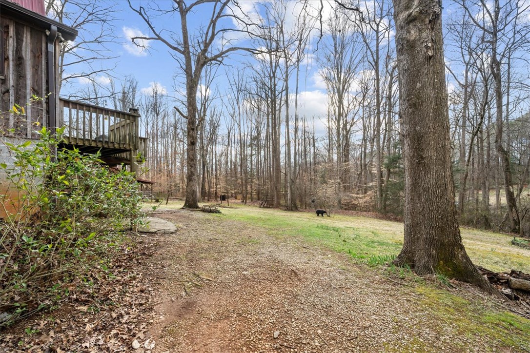 135 Stalling Ridge Road, Pickens, South Carolina image 30
