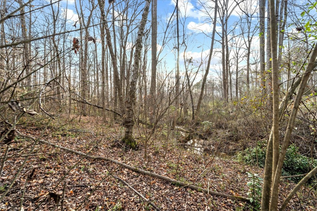 135 Stalling Ridge Road, Pickens, South Carolina image 40