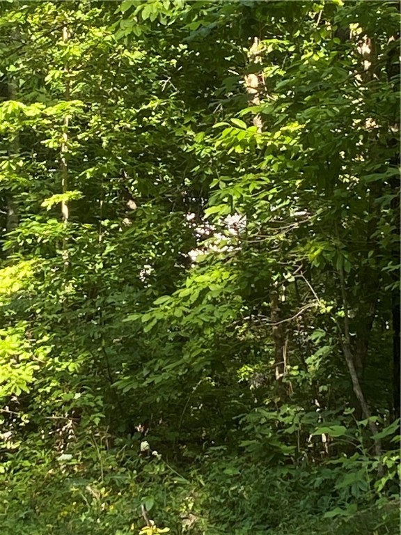00 Windtree Ridge Road, Pickens, South Carolina image 7