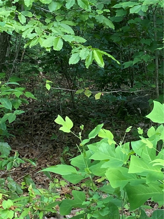 00 Windtree Ridge Road, Pickens, South Carolina image 3