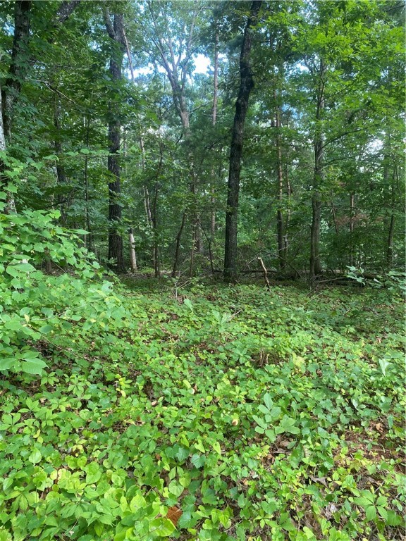 00 Windtree Ridge Road, Pickens, South Carolina image 1