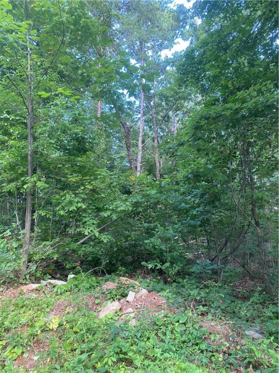 00 Windtree Ridge Road, Pickens, South Carolina image 2