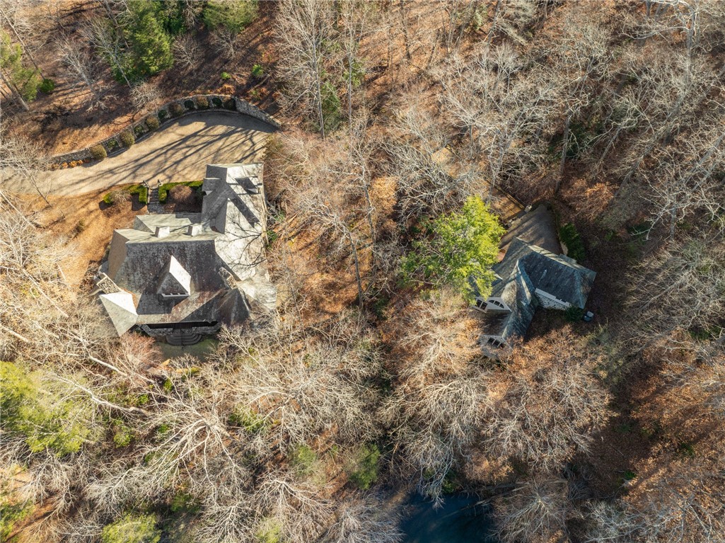 604 Top Ridge Drive, Sunset, South Carolina image 48
