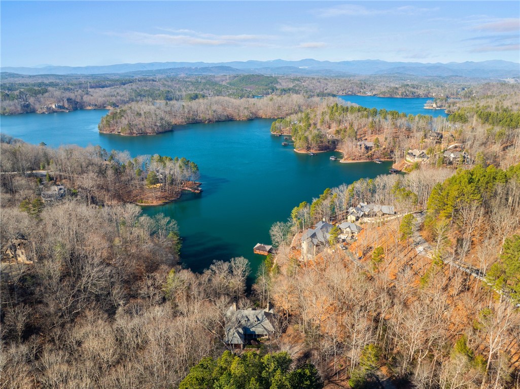 604 Top Ridge Drive, Sunset, South Carolina image 35