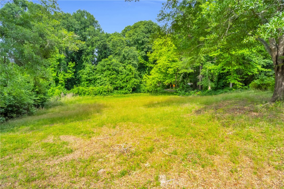 201 Oak Drive, Belton, South Carolina image 1