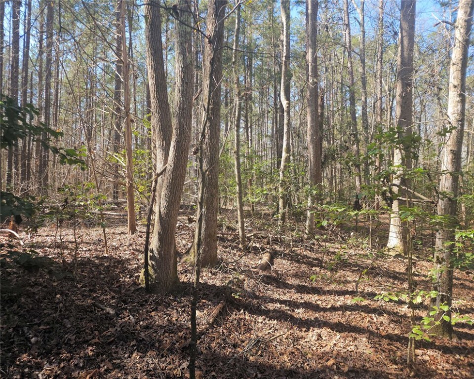 00 Corner Road, Belton, South Carolina image 15