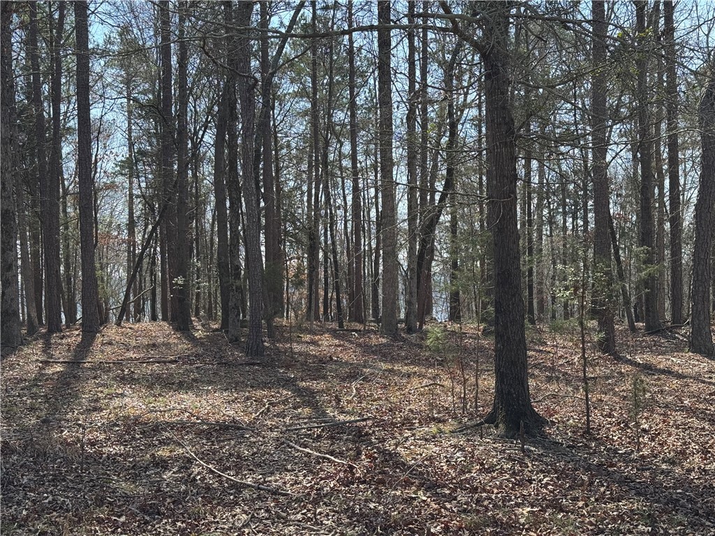 Tract A Tugaloo Heights Circle, Fair Play, South Carolina image 10