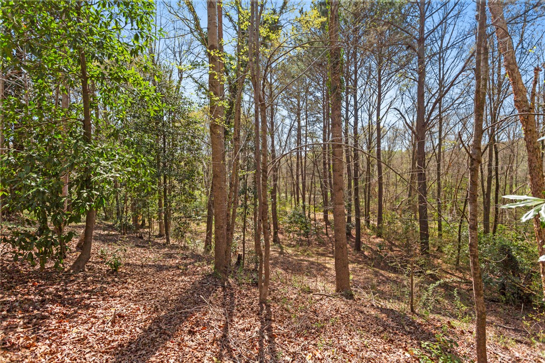 30 Joy Circle, Walhalla, South Carolina image 27