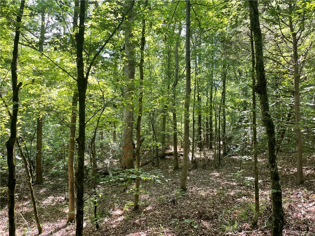 00 Lincoln Road, Gray Court, South Carolina image 2
