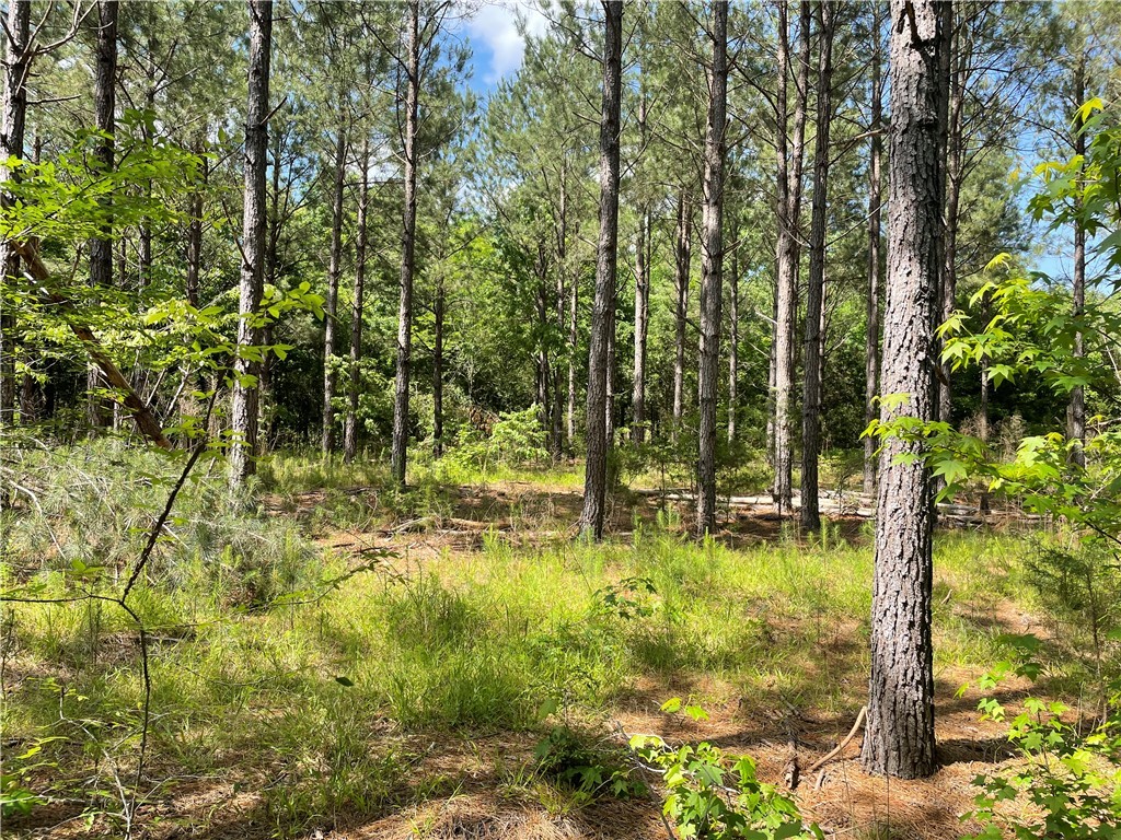 00 Lincoln Road, Gray Court, South Carolina image 10