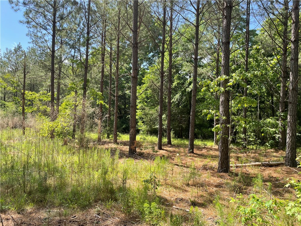 00 Lincoln Road, Gray Court, South Carolina image 11