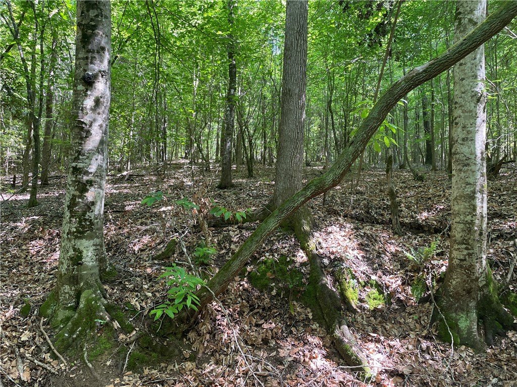 00 Lincoln Road, Gray Court, South Carolina image 3
