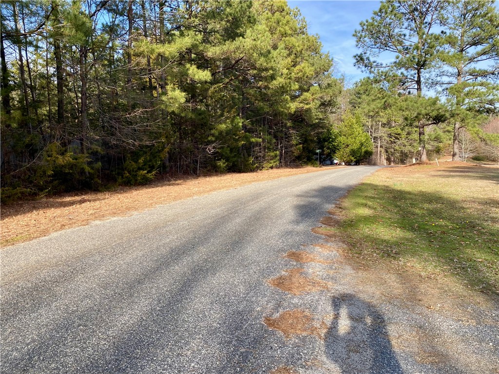 104 Coyote Lane, Iva, South Carolina image 29
