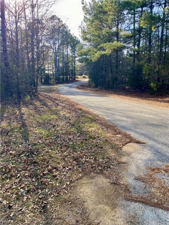 104 Coyote Lane, Iva, South Carolina image 30