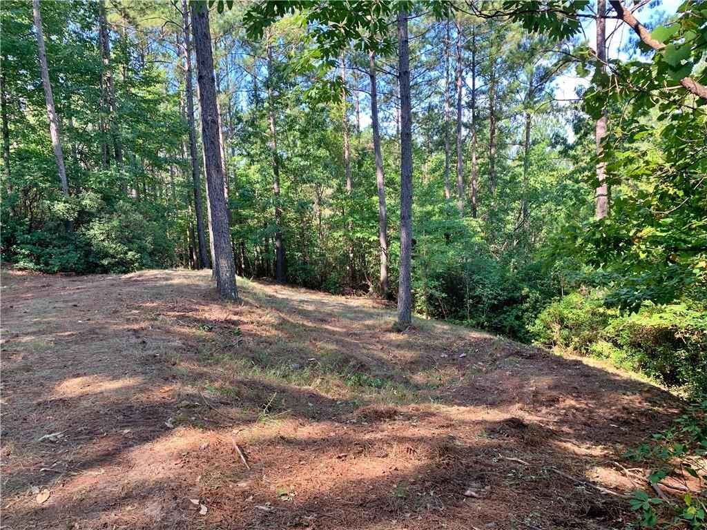 113 Stone Cove Road, Sunset, South Carolina image 7