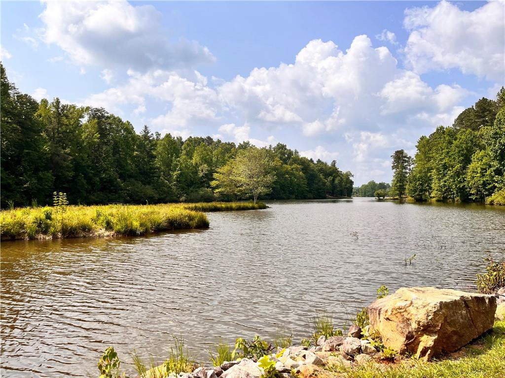 1B Watermelon Way, Tamassee, South Carolina image 3