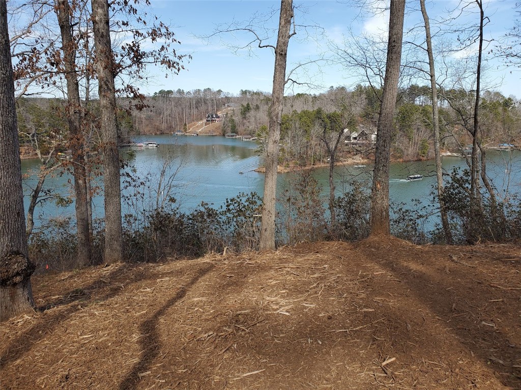 5 Little Keowee Boulevard, West Union, South Carolina image 7