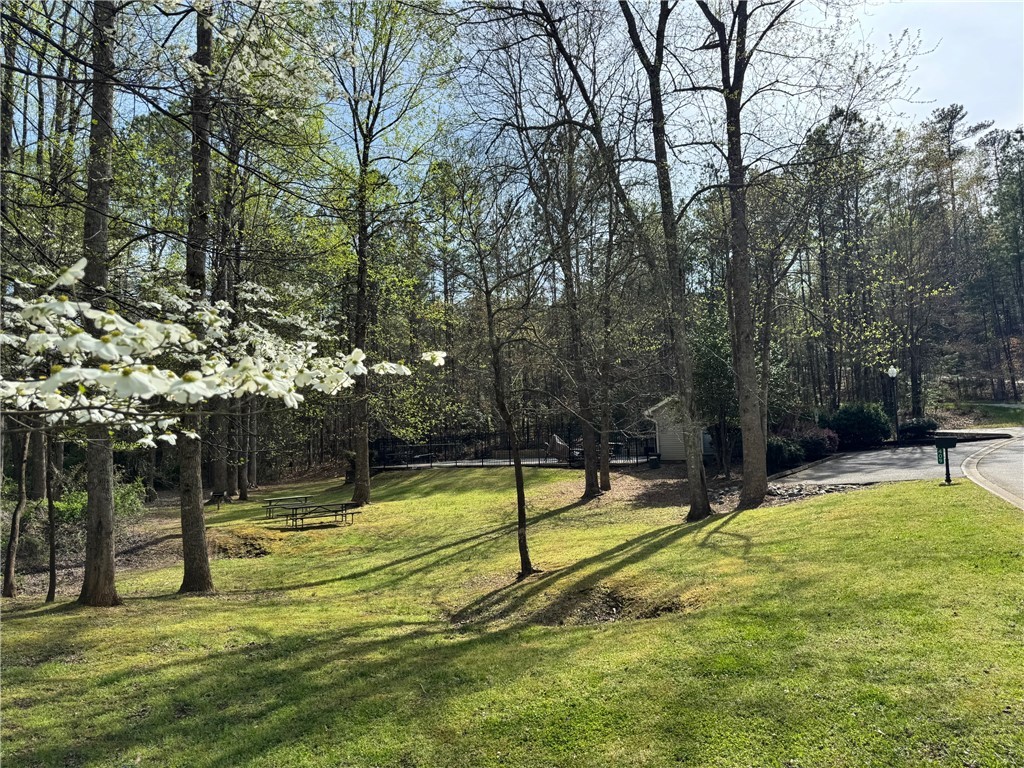 140 Steppingstone Way, Central, South Carolina image 40