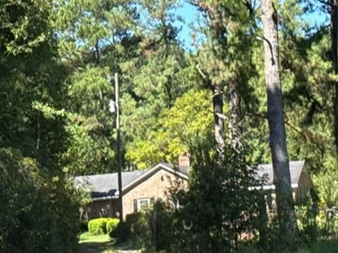 Photo of 1613 Shadewater Way, Manning, SC 29102 (MLS # 20294800)