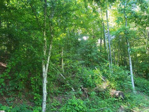 Vacant Land For Sale - 00 Hidden Valley Road<br/> Marietta, SC 29661