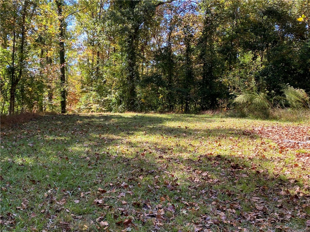 547 Pine Ridge Drive, Westminster, South Carolina image 14