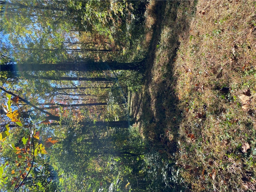 547 Pine Ridge Drive, Westminster, South Carolina image 13