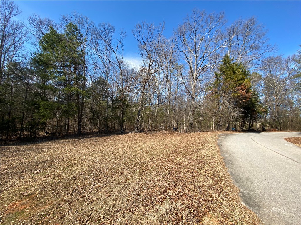 Lot 7 Majestic Shores Road, Hartwell, Georgia image 3