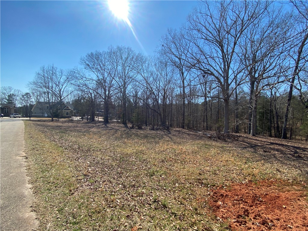 Lot 7 Majestic Shores Road, Hartwell, Georgia image 1