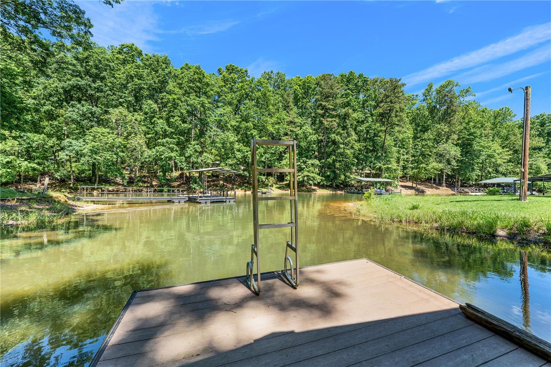 131 Shoreside Drive, Martin, Georgia image 47