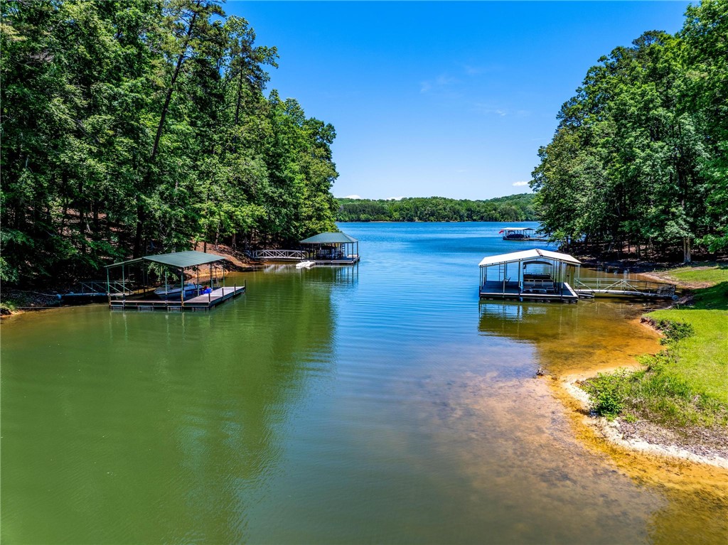 131 Shoreside Drive, Martin, Georgia image 50