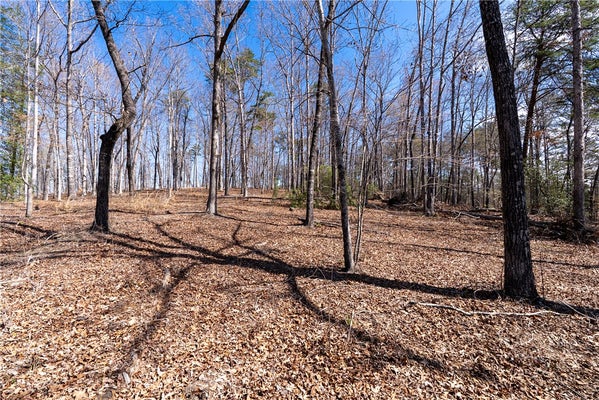 FAIRWAY DR, JOHNSONVILLE, SC 29555 - Image 78b190bd54a1b32b6f3b984e549f042f/3665207510