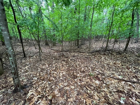 Vacant Land For Sale - LOT 887 Nicklaus Road<br/> Westminster, SC 29693