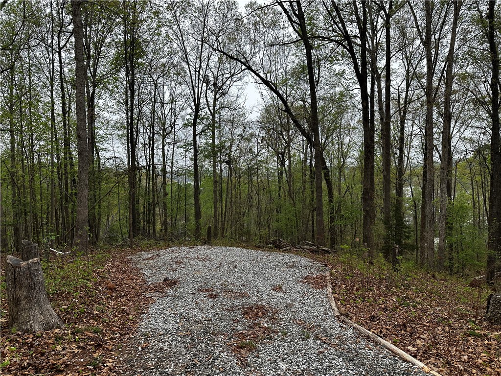 129 Hilltop Circle, Fair Play, South Carolina image 1