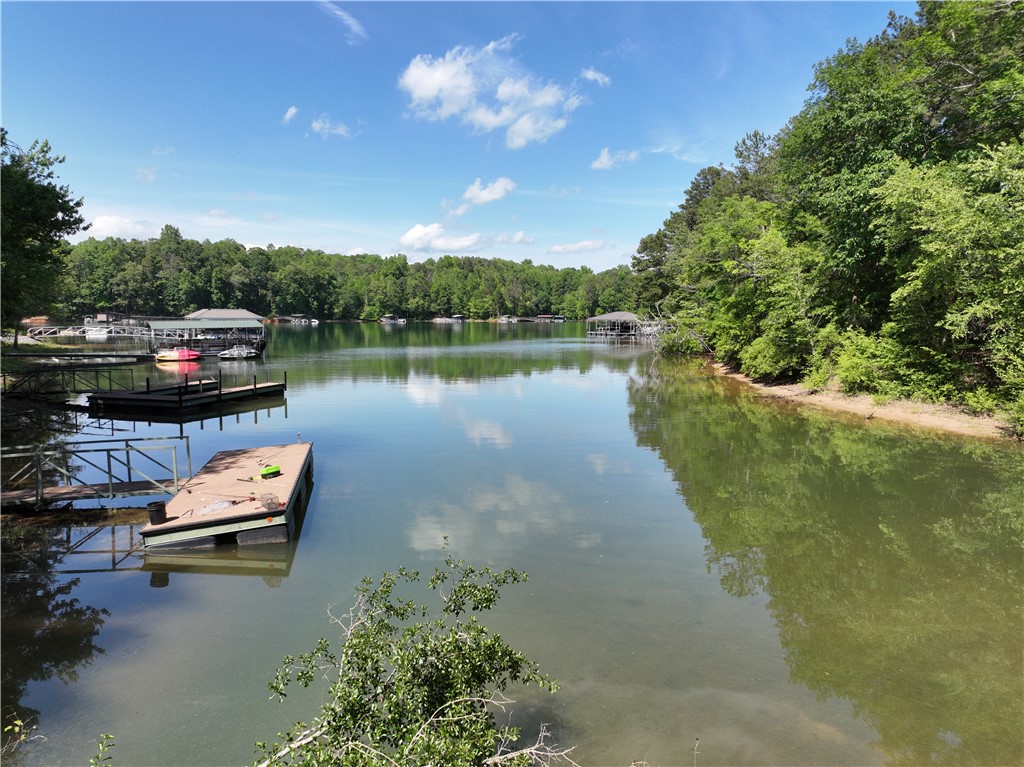 104 S Shore Drive, Fair Play, South Carolina image 4