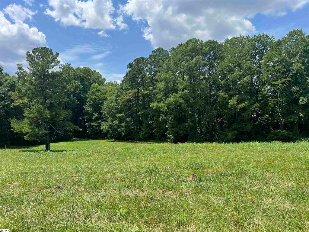00 Pendleton Street, Pickens, South Carolina image 2