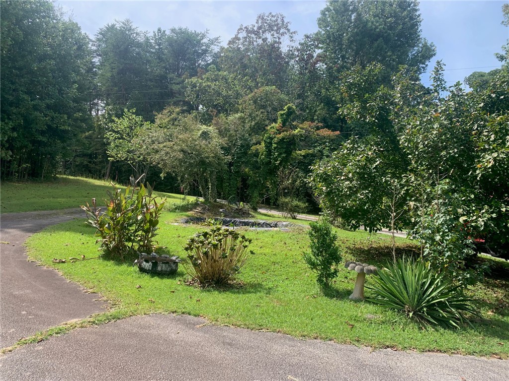 205 West Park Drive, Walhalla, South Carolina image 17