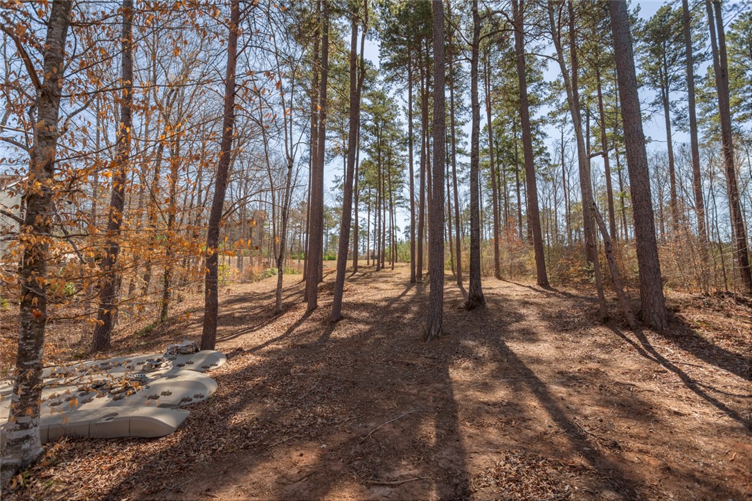 620 Crooked Trace Lane, Seneca, South Carolina image 12