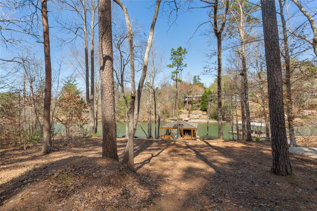620 Crooked Trace Lane, Seneca, South Carolina image 15