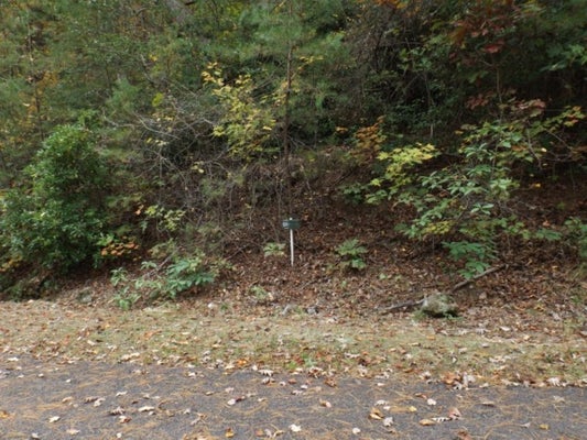 116 FIRESIDE LN, PICKENS, SC 29671 - Image 7cafa534e7b4e0d7df6ac17780ea1f3f/650448667