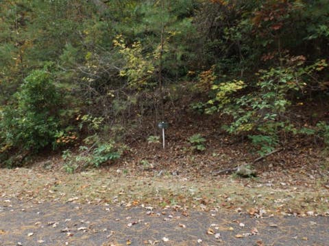 Vacant Land For Sale - 116 Fireside Lane<br/> Pickens County, Pickens, SC 29671