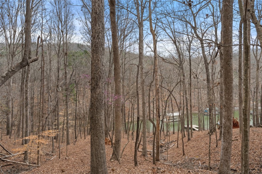105 N Arrowhead Drive, Westminster, South Carolina image 27