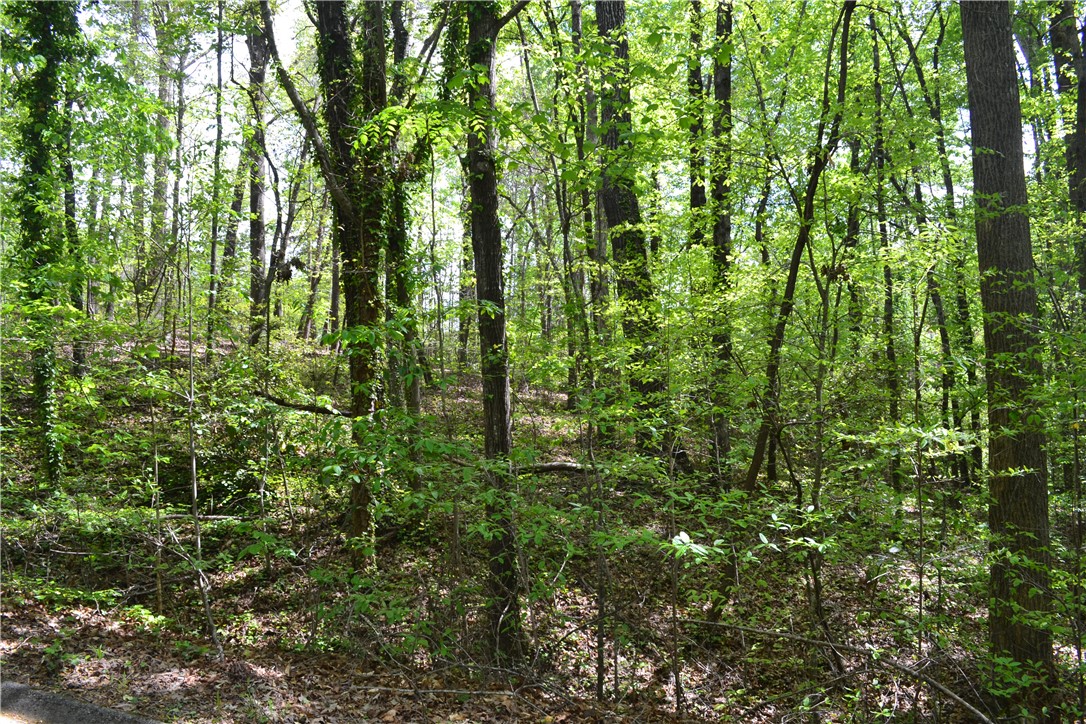 000 Cane Creek Drive, Seneca, South Carolina image 8