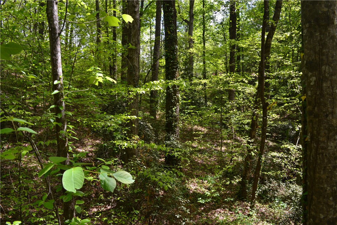 000 Cane Creek Drive, Seneca, South Carolina image 7