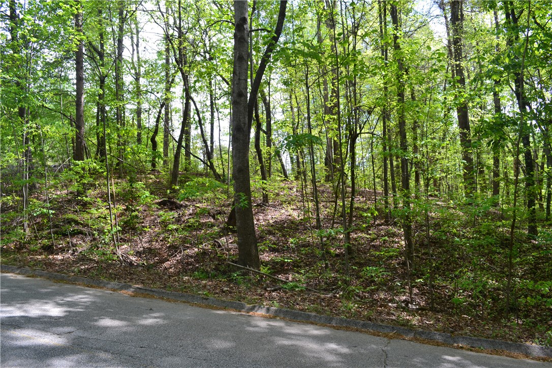 000 Cane Creek Drive, Seneca, South Carolina image 2